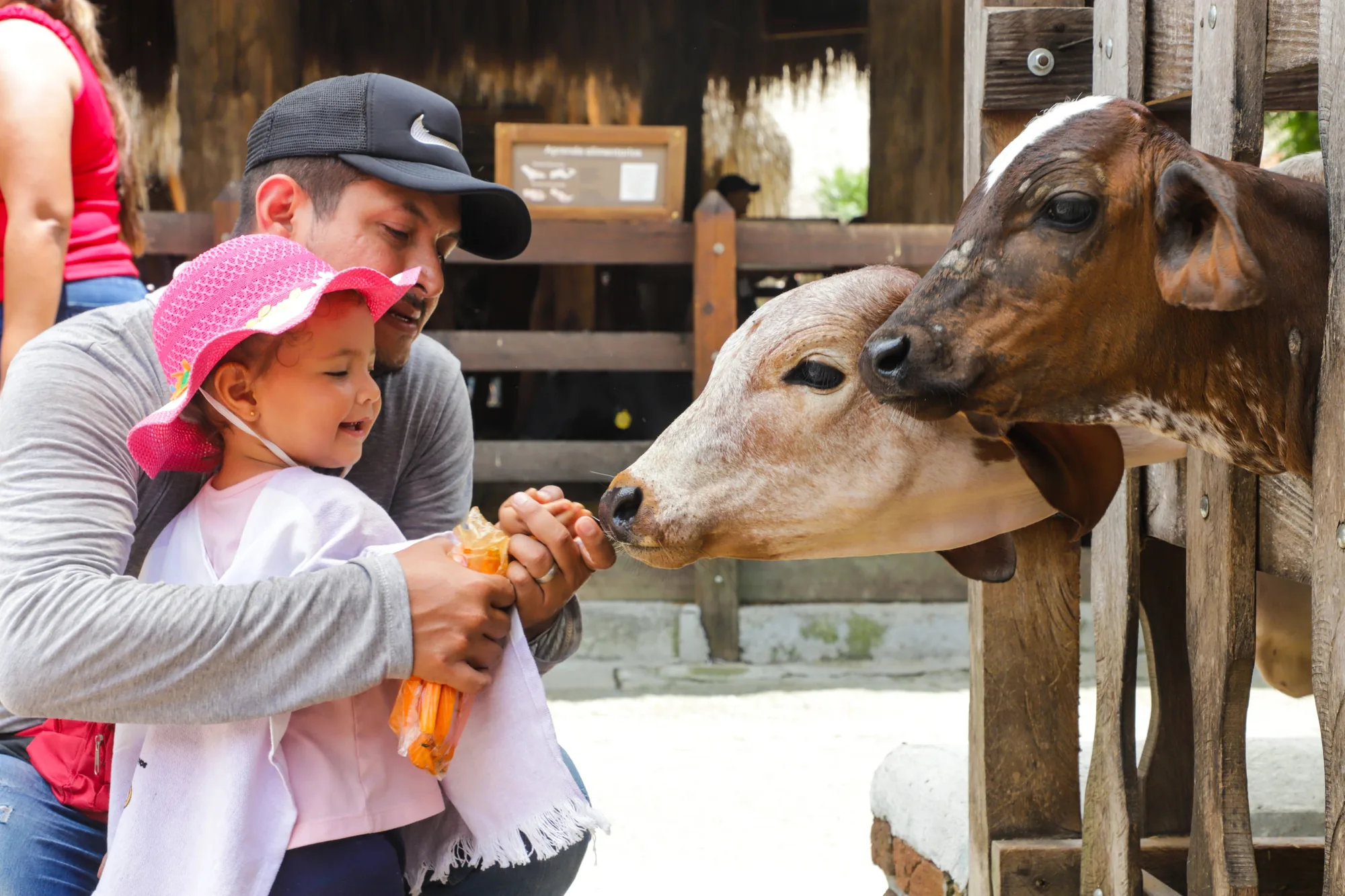 Familia visitando PANACA y sus animales