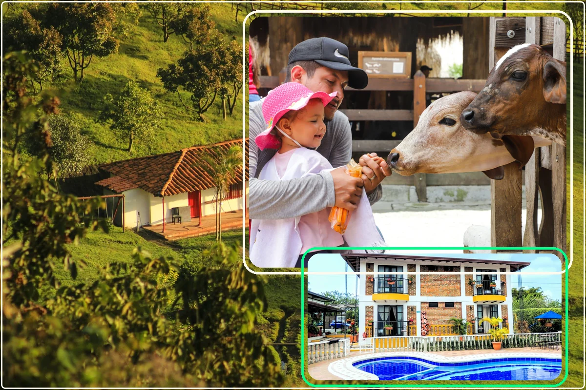Promo Cafetera: finca cafetera, desayuno y entrada a PANACA