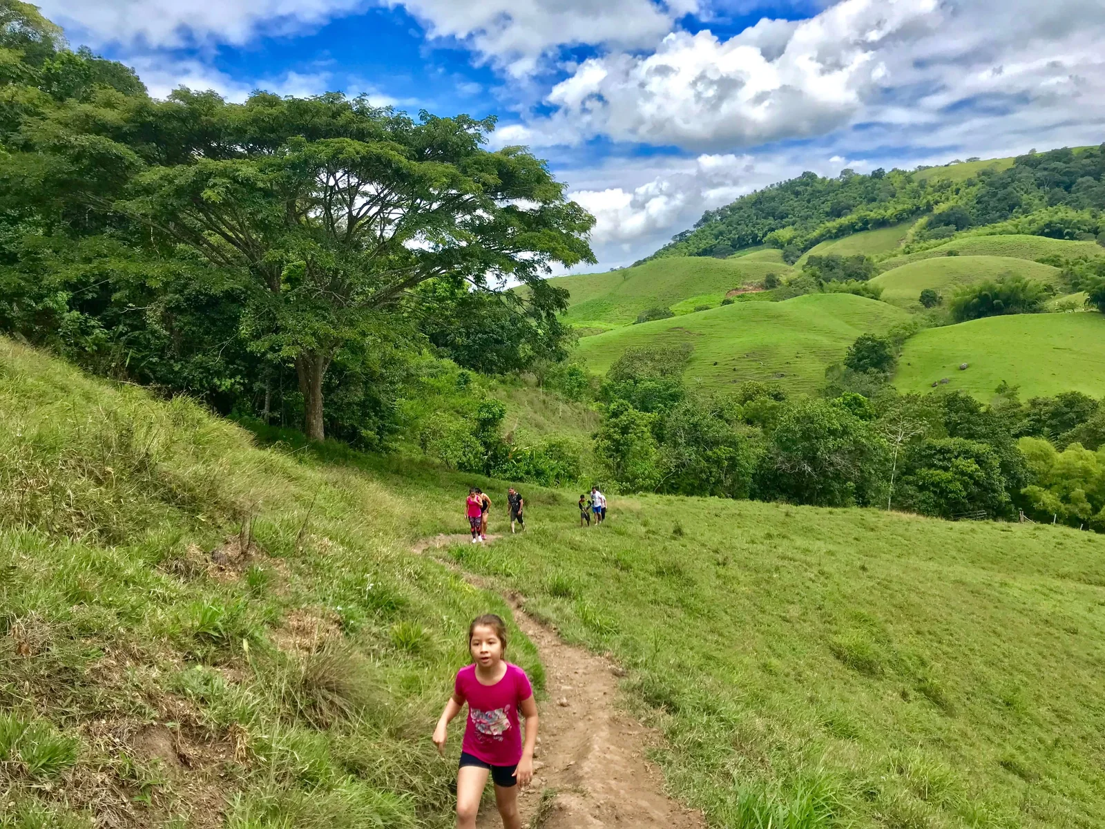 Colinas verdes del Paisaje Cultural Cafetero cerca del Río La Vieja
