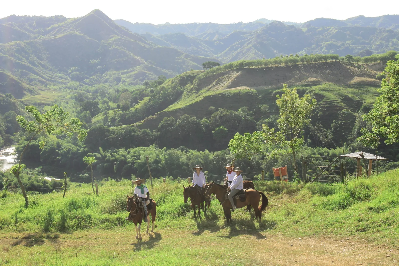 Valle verde de la Hacienda El Carmelo en La Tebaida, con montañas, guaduales y el cañón del río
