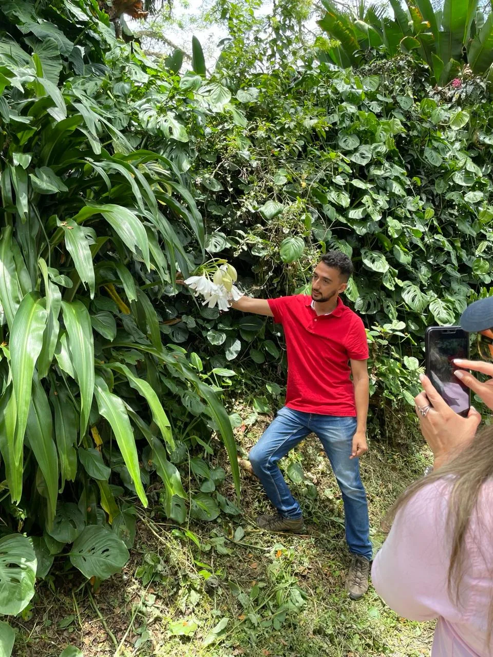 Guía mostrando una flor exótica a visitantes en el jardín de Finca El Pensamiento