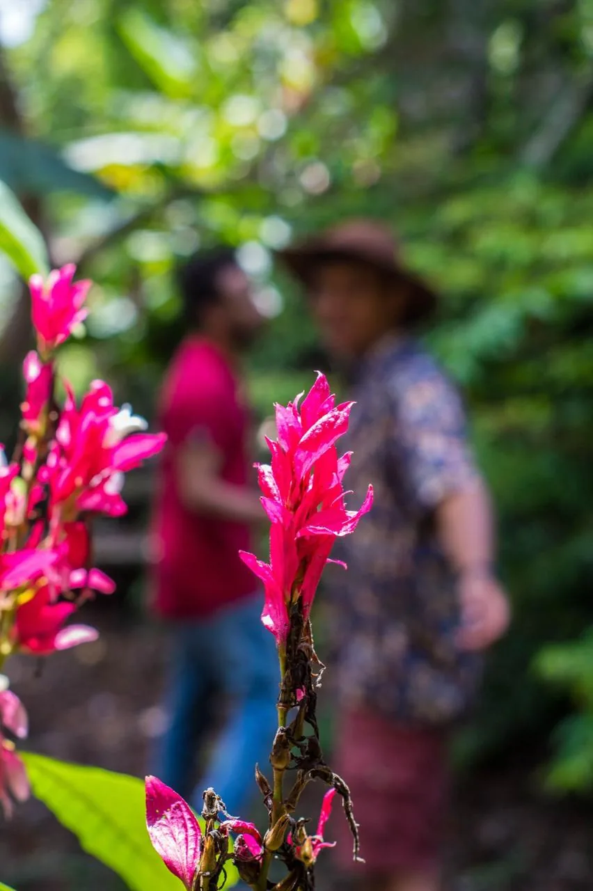 Recorrido guiado entre flores exóticas en Finca El Pensamiento