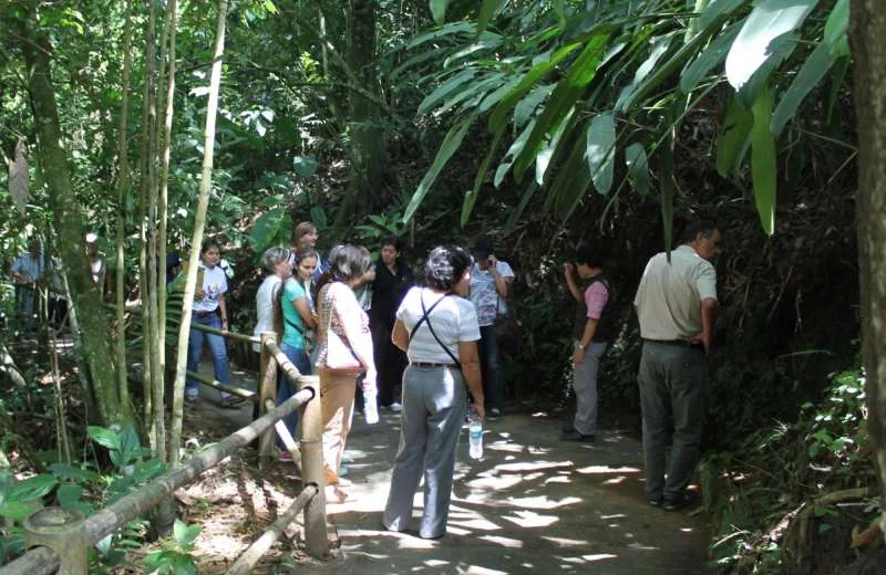 Grupo de visitantes en un sendero guiado del Jardín Botánico del Quindío