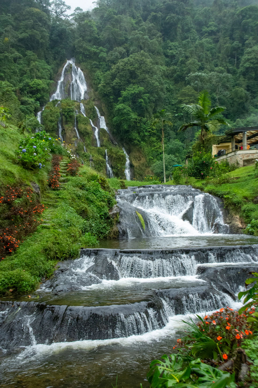 Cascada entre la selva verde cerca de Salento