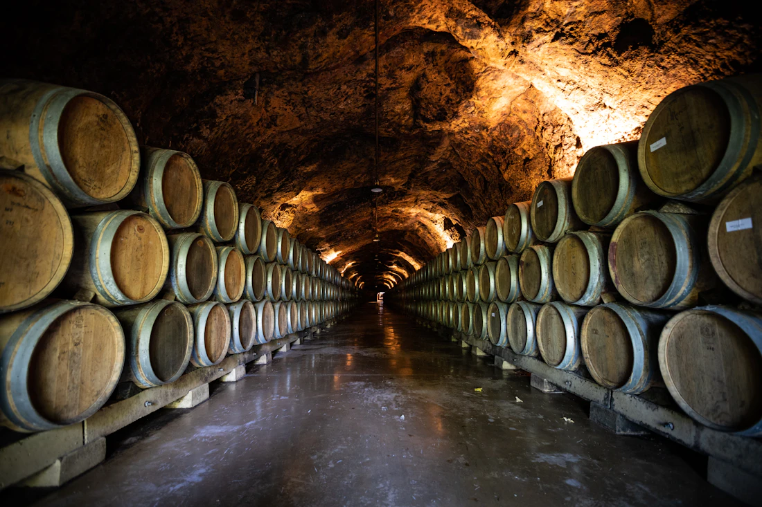 Túnel de barricas de vino en la bodega