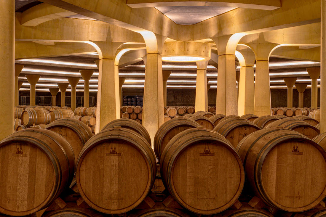 Bodega con barricas de roble donde se cría el vino de Casa Grajales