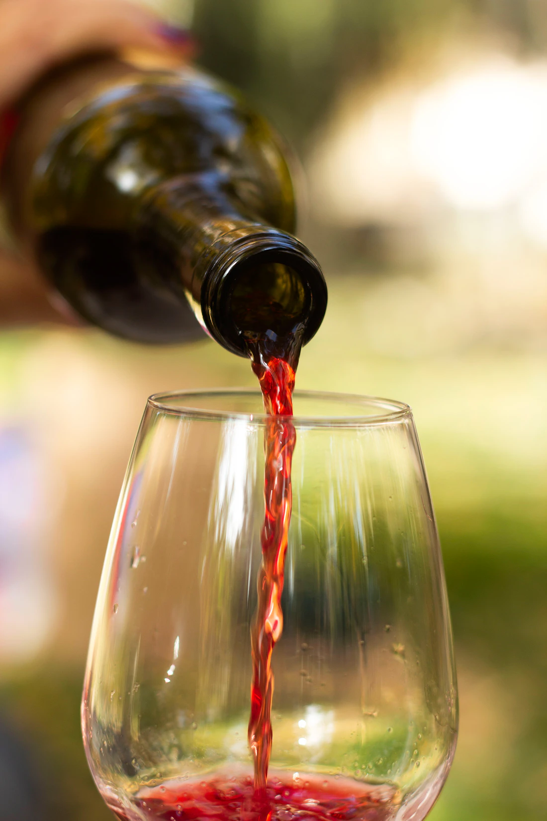 Sirviendo una copa de vino tinto con el viñedo de fondo