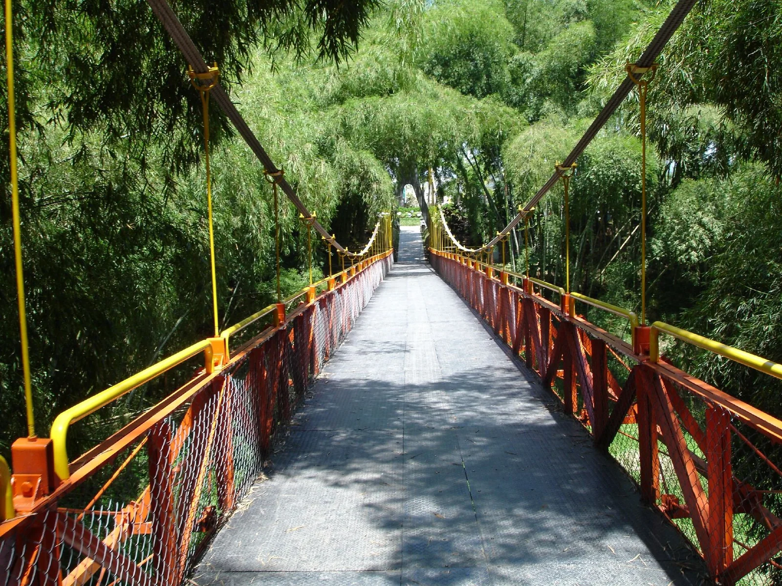 Puente colgante del Parque del Café entre guaduales, Quindío
