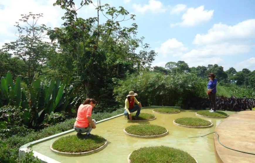 Estación de agua, manantial de vida, en la Ruta del Café Combia