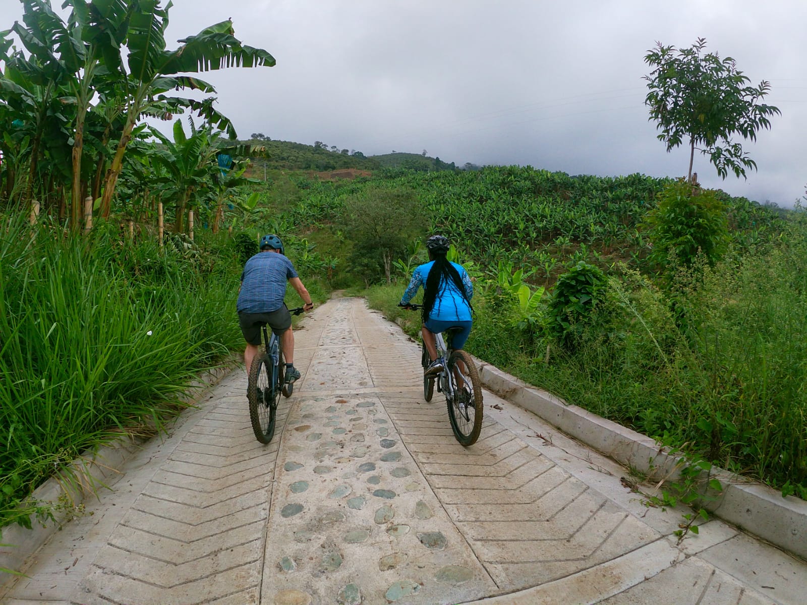 Ciclista en un camino verde